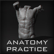 Anatomypractice